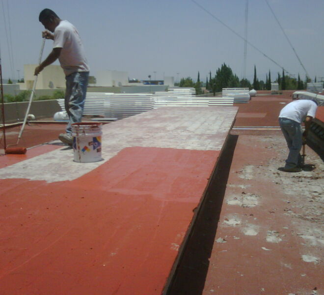 IMG00144-20100527-1400